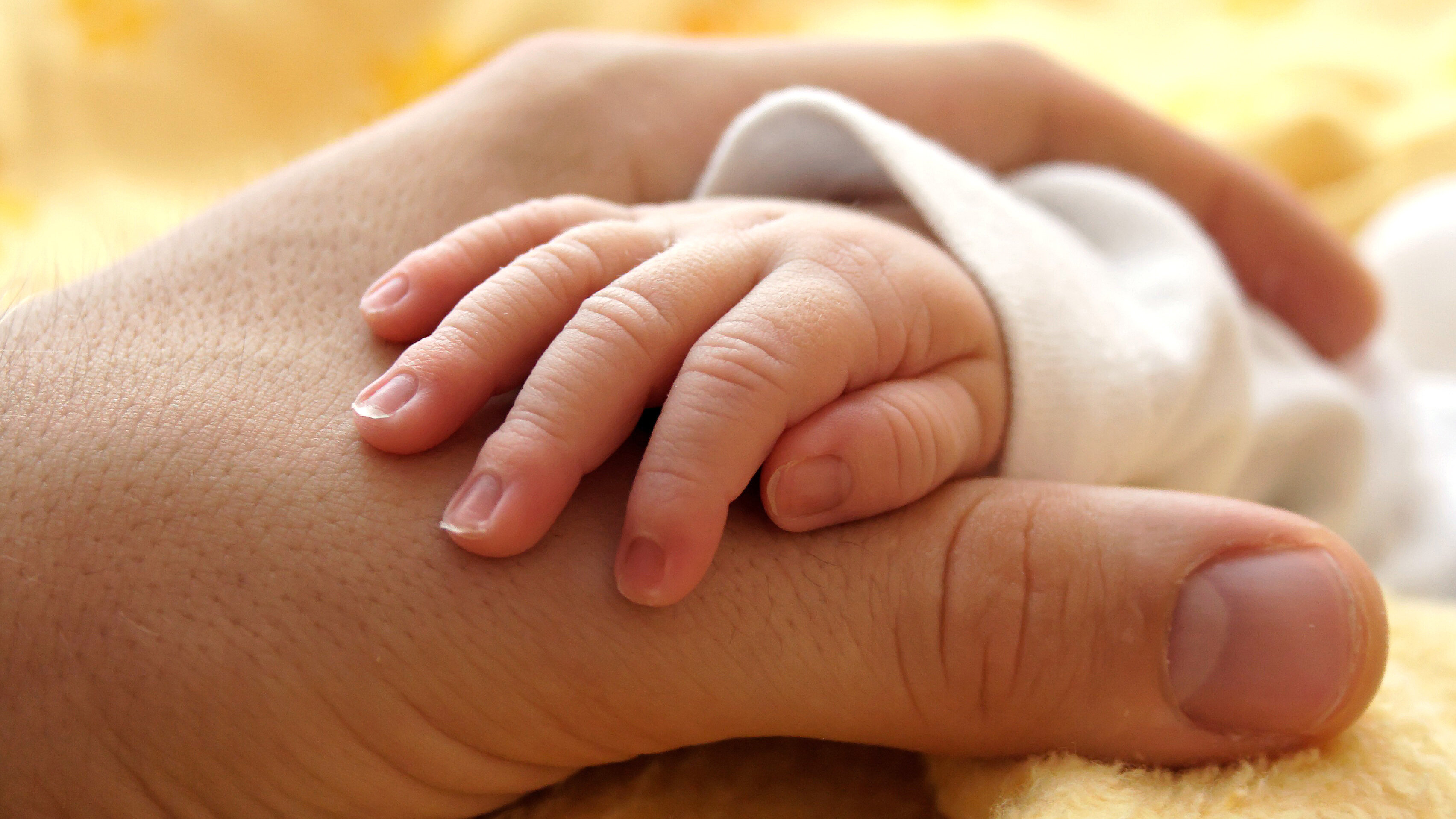 Hand eines Säuglings liegt auf der Hand einer erwachsenen Person.