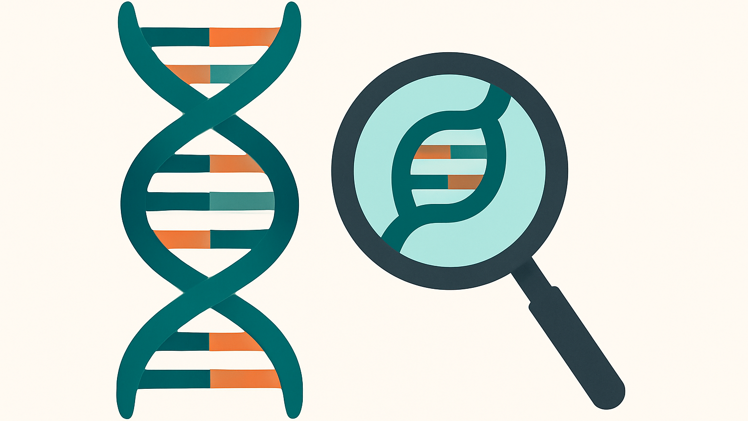 Stilisierte Illustration einer DNA-Doppelhelix neben einer Lupe, die einen vergrößerten Ausschnitt der genetischen Struktur zeigt. Die Grafik symbolisiert Genanalyse, genetische Forschung, Präzisionsmedizin und die Untersuchung von Erbinformationen.